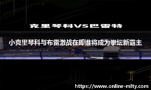小克里琴科与布雷激战在即谁将成为拳坛新霸主